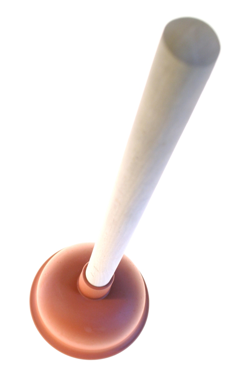 Clogged Toilet Rogate, Buriton, GU31